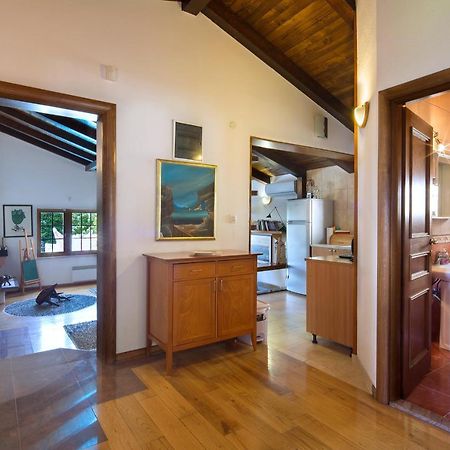 Villa Robinson Petrovac Zewnętrze zdjęcie